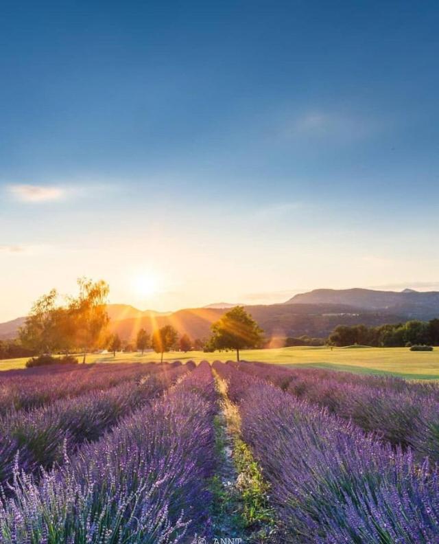 Les Allees Du Golf Digne Les Bains Exteriör bild